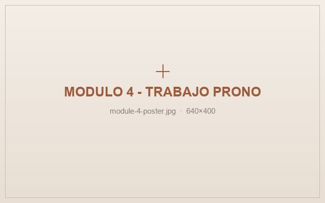 Módulo 04 — Trabajo prono